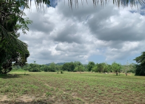 Agri-Residential Lot with Fruit-Bearing Trees, 700 Meters to the Highway, Naguilian, La Union